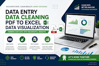 do excel data entry, data cleaning and visualization accurately