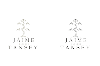 create a custom logo for you