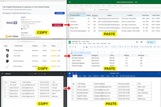copy paste, data entry, web research, and excel work