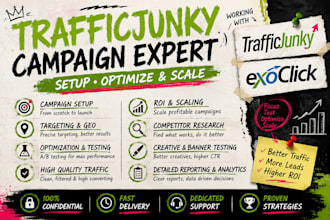 set up traffic junky and exoclick campaign for adult page