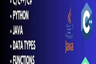 solve programs data structures in python java or cpp