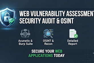 perform professional web vulnerability assessment, security audit, and osint