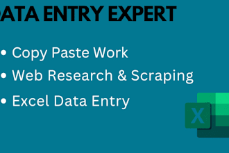 do professional data entry, copy paste and web research work