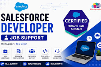 provide salesforce developer job support and project assistance