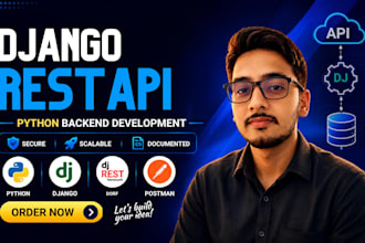 do api development, testing, and integration
