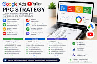 provide expert google ads PPC consultation