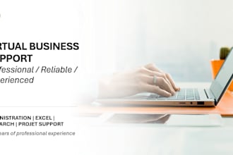 provide professional virtual business support