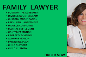 be ny, ca,georgia, florida divorce lawyer for child custody, property and prenup