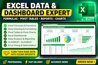 create and format excel spreadsheets with formulas, pivot tables and dashboards