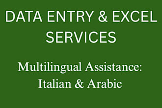 do professional data entry and excel formatting in italian and arabic