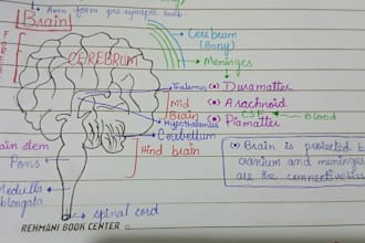 create biology diagrams and educational charts