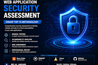 perform professional web application security testing