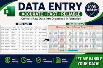 accurate data entry and excel data cleaning and sales data