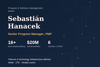 manage your IT or telecom project as a senior program manager