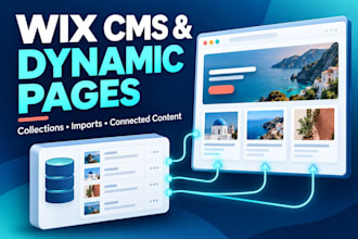 set up your wix cms and dynamic pages