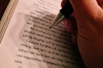 beta reader, I will assess your book and give suggestions