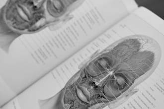 write a comprehensive jamb biology study guide