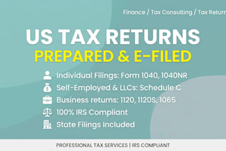 prepare US tax returns form 1040 1040nr and business taxes