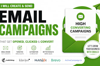 be your klaviyo, mailchimp, and mailerlite email marketing campaign expert