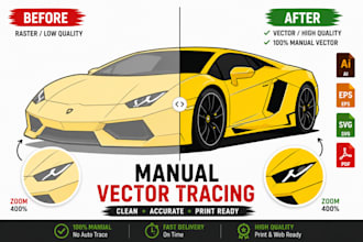 vector tracing with expert manual precision