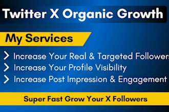 be your x twitter manager for organic growth and management