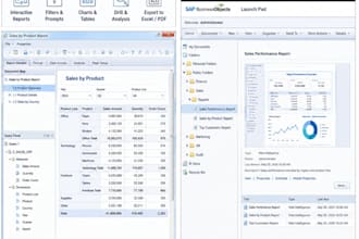 develop sap businessobjects webi reports
