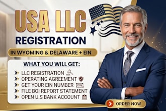 register your new mexico or delaware llc and provide business formation support