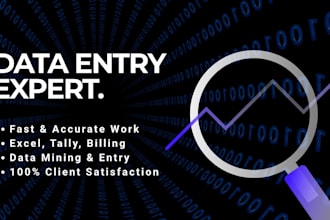 do professional excel data entry, tally erp, and billing work