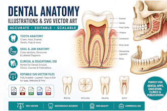 illustrate dental anatomy and create svg vector illustration