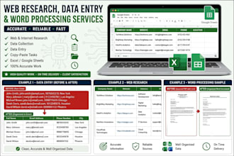 do accurate data entry, copy paste and web reserch