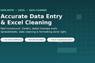 do accurate data entry and excel spreadsheet work