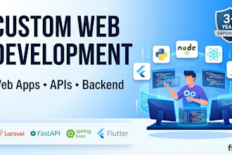 develop a professional custom web application or software solution