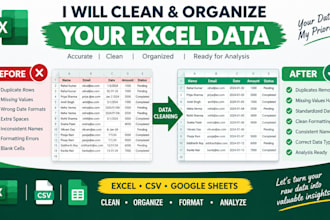 professionally clean and organize your messy data