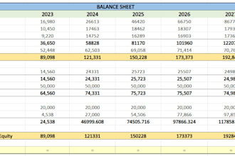 build professional financial models, forecasts and budgets in excel