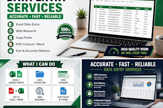do accurate data entry, web research and excel data entry
