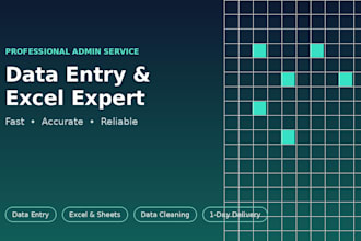 do accurate data entry and excel spreadsheet work