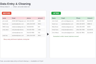 do accurate data entry, excel data cleaning and formatting