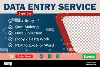 be your virtual assistant for data and bookkeeping