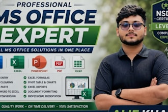 provide professional microsoft office services