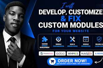 develop, customize and fix custom modules for your website