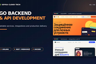 develop a go backend API and integrations