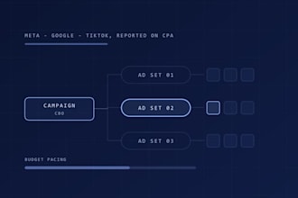build and launch your meta and tiktok ads and report on CPA