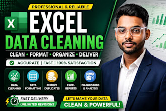 do professional excel data cleaning, formatting, vlookup, and mis reporting