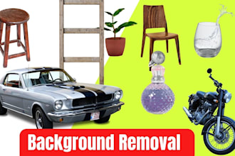 do professionally remove background do hair masking