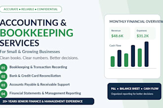 provide professional accounting bookkeeping and financial reporting