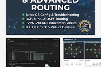 configure, troubleshoot and optimize juniper junos os, bgp and mpls