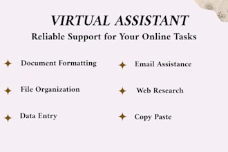 be your virtual assistant for data entry and online tasks