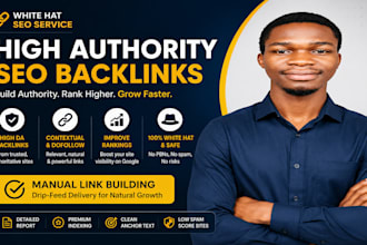 do high quality SEO backlink link building off page service for google ranking