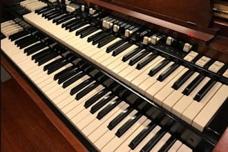 record piano, wurlitzer, organ, clavinet, accordion, harpsichord, melodica synth