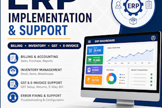 provide remote erp implementation and troubleshooting support
